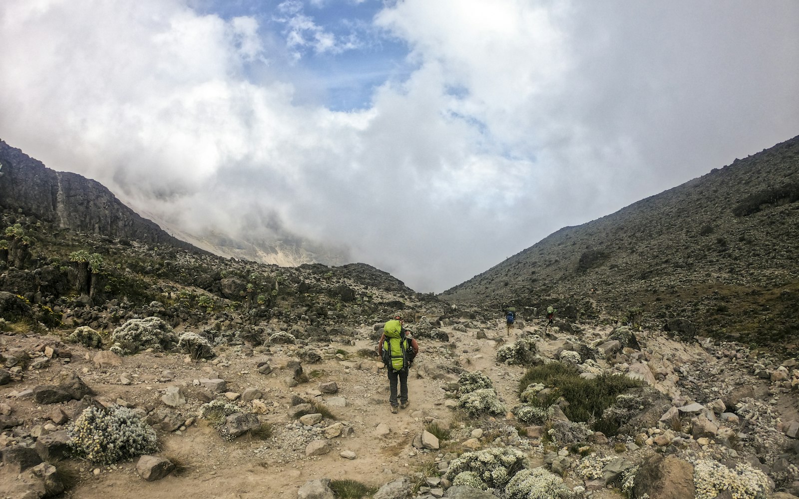Mount Kilimanjaro snow-capped peak Tanzania