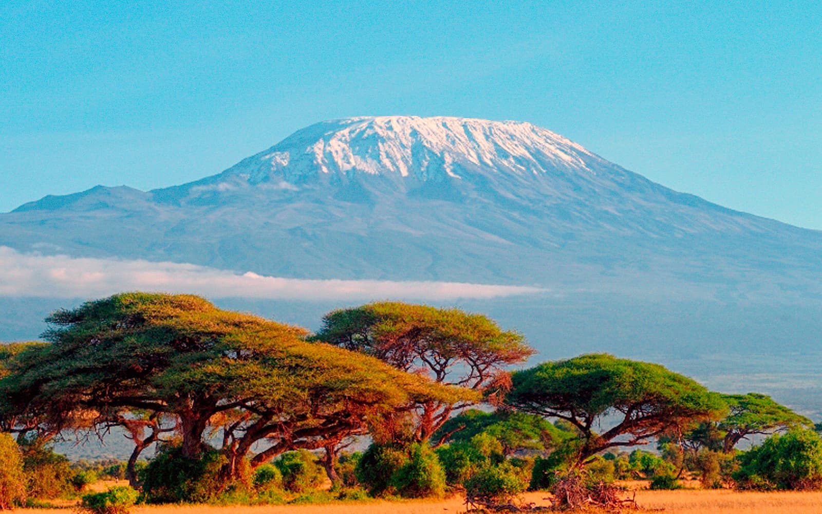 Mount Kilimanjaro snow-capped peak