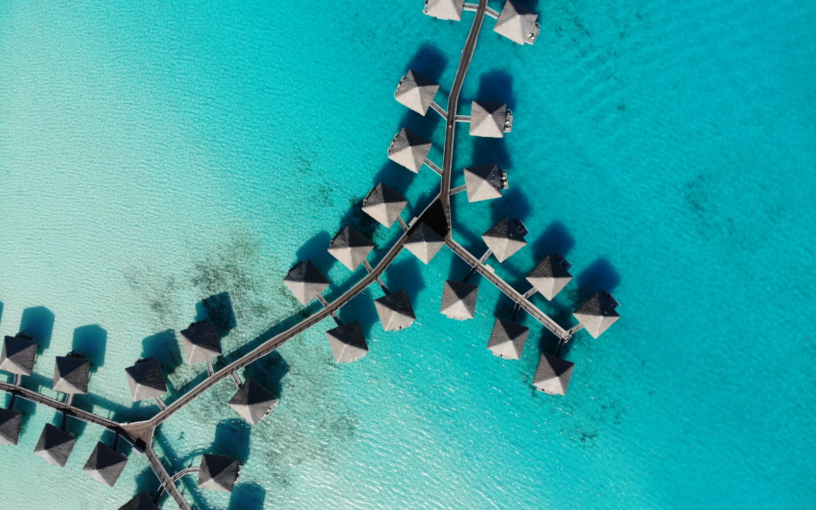 Zanzibar turquoise beach combined with Serengeti safari Tanzania